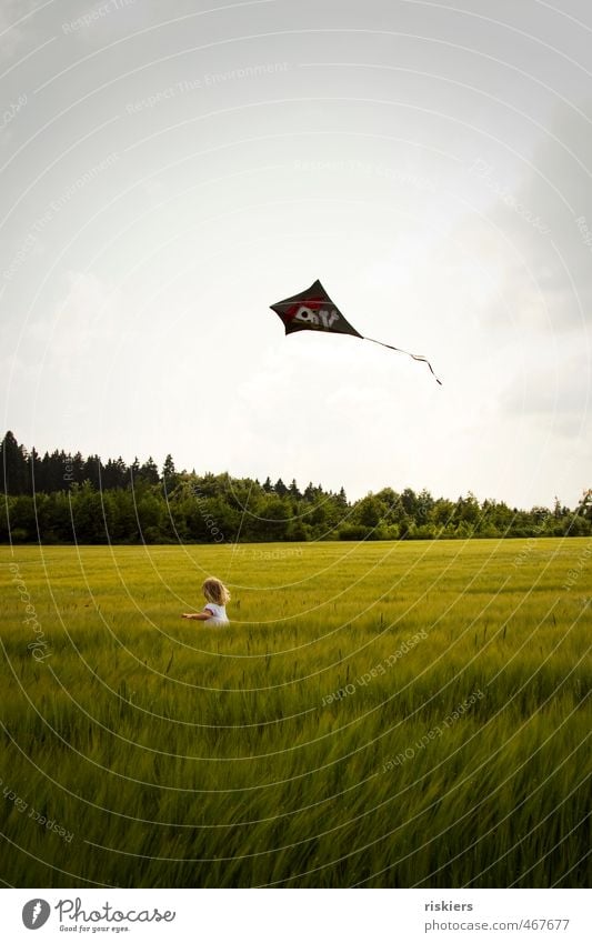 dragon weather!! Kite kites rise Feminine Child Girl Infancy 1 Human being 3 - 8 years Environment Nature Summer Autumn Field Walking Running Free Happiness