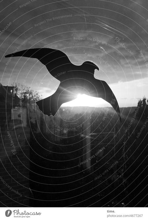 Bird sanctuary Window pane stickers Silhouette Safety Protection Plastic Back-light Evening Horizon Sky window sticker Bird protection adhesive Warn esteem