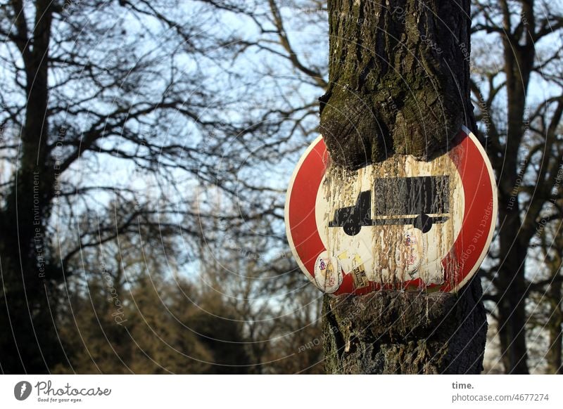 strange | battle of the systems Tree Road sign Prohibition sign lorry grow together Nature Resin violation Signs and labeling Warning sign Signage