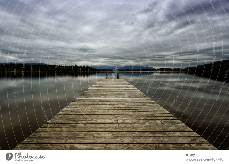 waiting for thunderstorm II Environment Nature Water Storm clouds Autumn Forest Bog Marsh Lake Discover Wait Threat Blue Brown Emotions Moody Calm Adventure