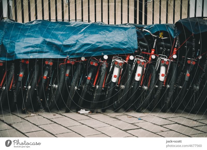 Rental bikes during the winter break rental bike Mobility Bicycle Means of transport turned off Row Authentic Beaded Side by side Collection tarpaulin