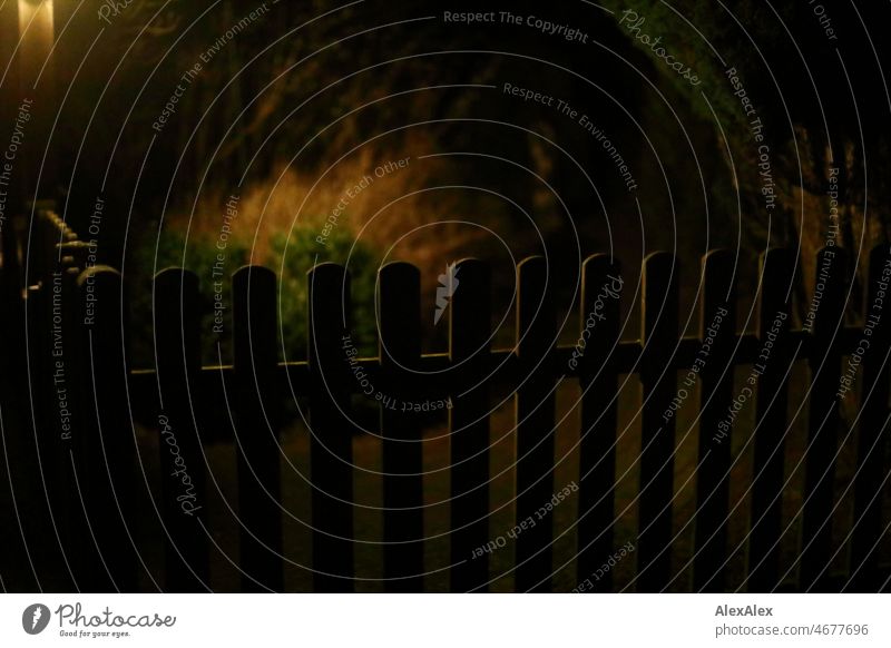 Half height garden fence. at night in the dark Fence Garden fence undergrowth bush Plant lattice fence boards half-high Dark Night Yellow Green weak light