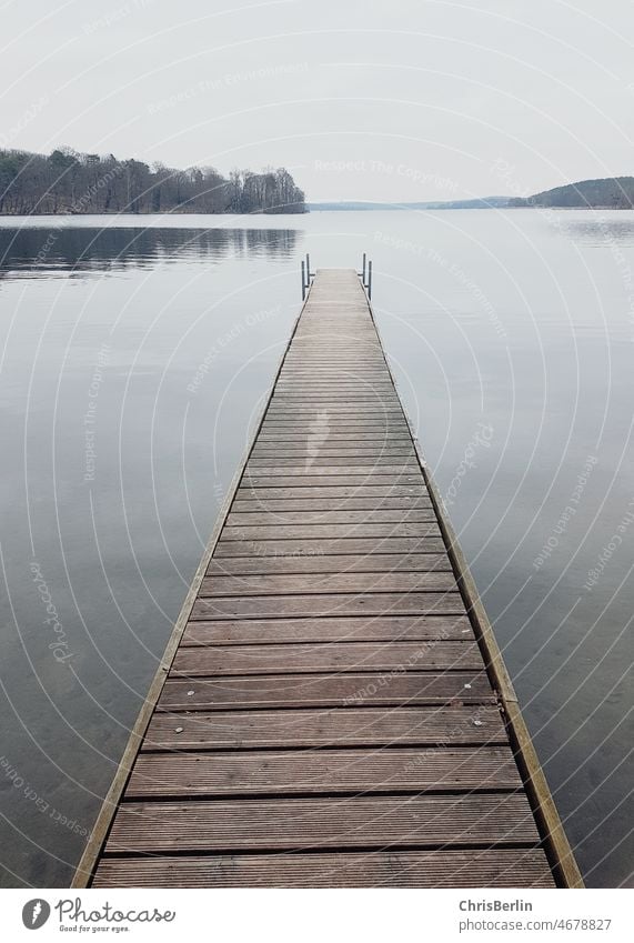 Bridge at the lake Water Lake Wood Footbridge Calm Nature Lakeside Landscape Deserted Autumn Exterior shot Surface of water Moody Environment