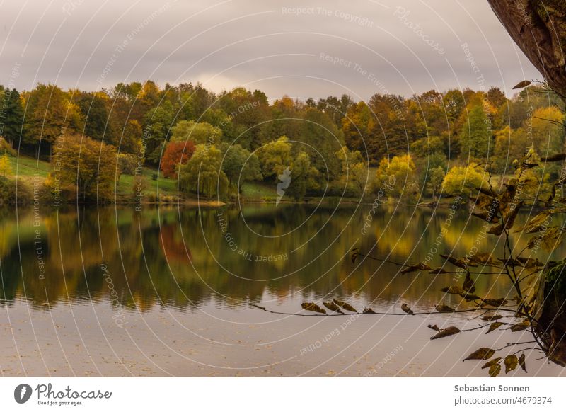 Caldera lake Ulmener Maar with view of colorful forest in autumn, Germany Autumn Outdoors Landscape Lake Nature Water Forest Picturesque travel Forest lake