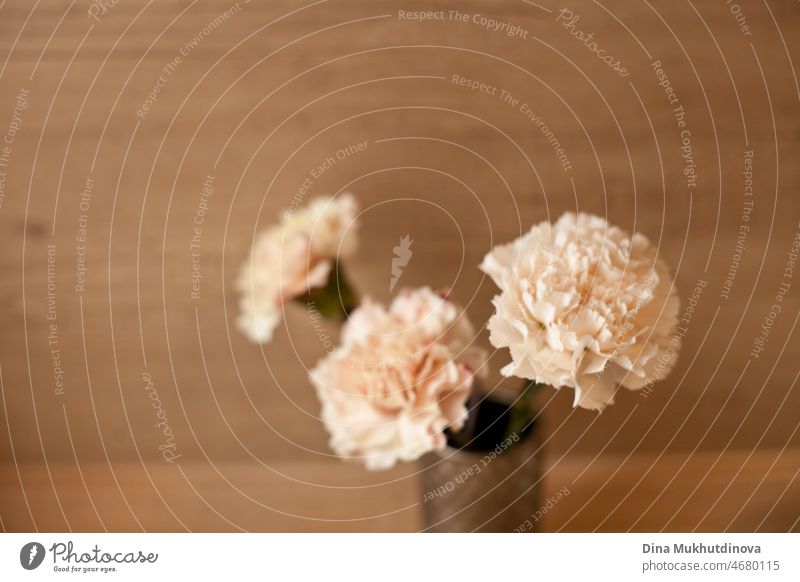 Three peach color carnations bouquet in a small vase on wooden table isolated. Floral horizontal backdrop. Romantic surprise for a birthday or wedding. floral