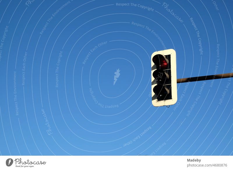 Red traffic light in front of clear blue sky in summer sunshine in Oerlinghausen near Bielefeld at Hermannsweg in Teutoburg Forest in East Westphalia-Lippe