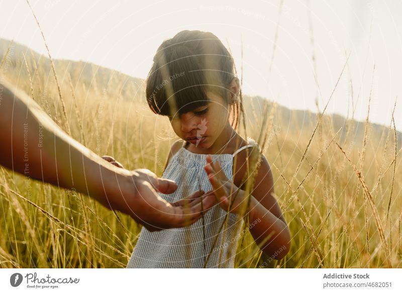 Anonymous parent with child in nature girl kid field meadow spend time countryside grass summer together sweet cute adorable ethnic tender bonding gentle