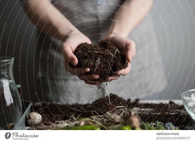 Crop gardener planting flower seedlings in pots woman spring soil cultivate floral seeding female natural care botany table horticulture growth vegetate prepare