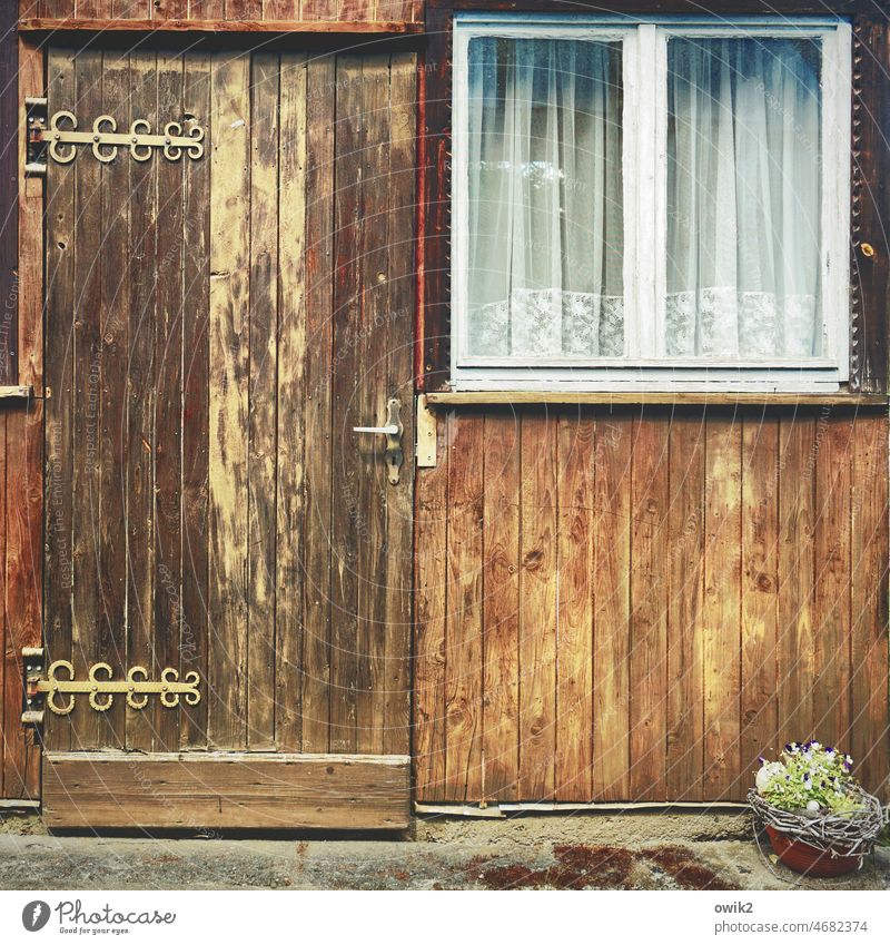 Chic hinges Gardenhouse Hut Window Shed idyllically Peaceful Living or residing Long shot Wooden facade Wooden wall Closed Simple too Deserted Building Old