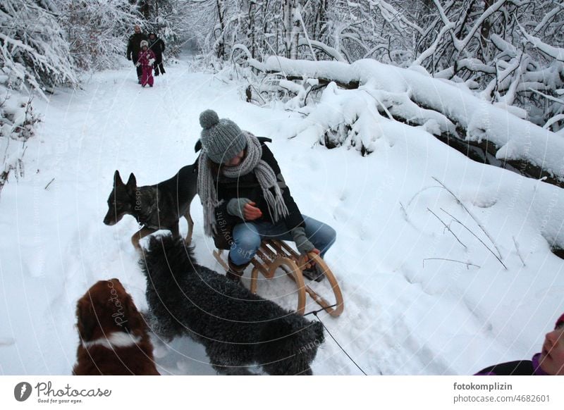 Woman on a sled with dogs in the snowy forest Sleigh sledging Sleigh Ride Dog fun Forest Snow Winter's day Cold White Winter mood person Human being snow walk