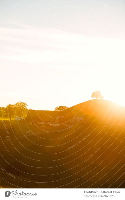 Sunset in front of hill with tree hirzel Back-light trees Courtyard Barn Grass Meadow Sunlight Moody