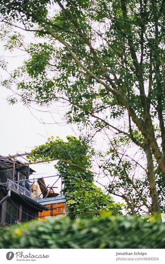 Terrace with chair in the green Chair Deckchair Balcony Tree branches Vista Autumn Nature Twigs and branches forest house Edge of the forest Deserted