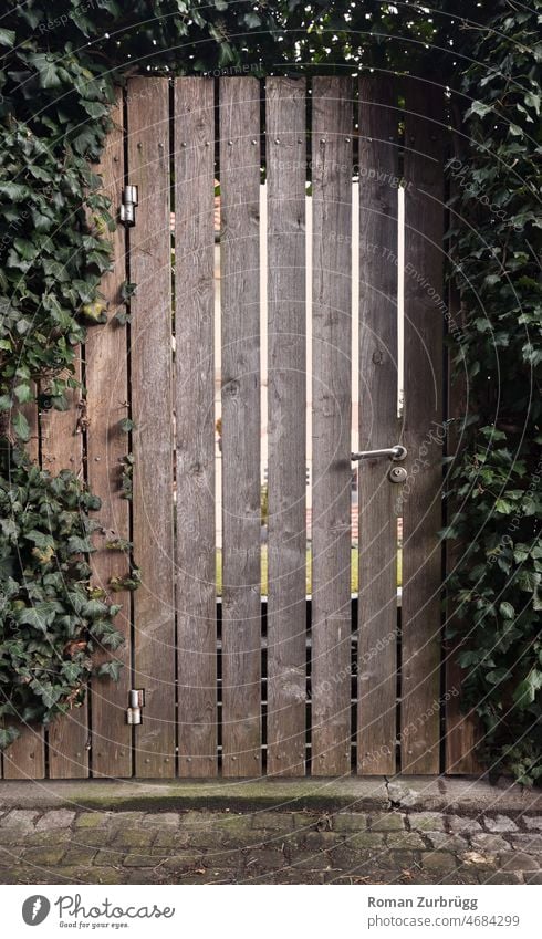 Gate to a courtyard entwined with ivy door Entrance Goal Ivy Interior courtyard boards locked Closed door handle Paving stone Wooden door Structures and shapes