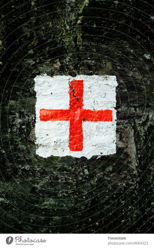 Signpost waypoint hiking trail label mark Orientation Red Cross Tree Tree trunk Dark Crack & Rip & Tear white background