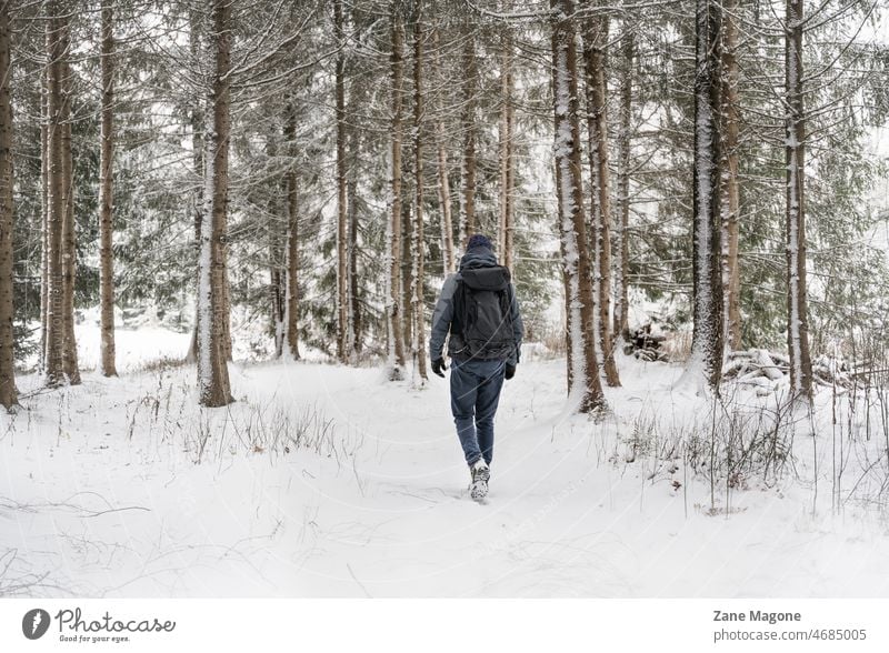 Man walking in a snowy forest winter hiking nature outdoors Snow Winter Forest Nature Cold Winter's day Winter forest Winter mood Landscape Winter walk chill