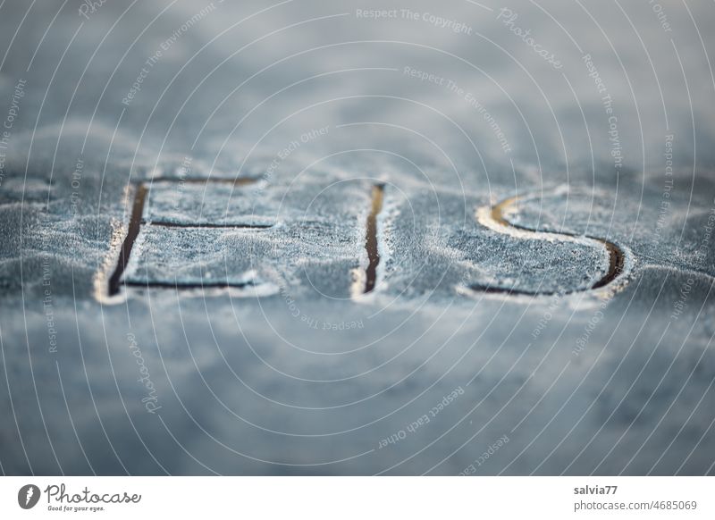 iced car window Ice Frost Car window Cold chill Frozen Winter Exterior shot Freeze Iced up car window Deserted Hoar frost Weather Seasons winter icily