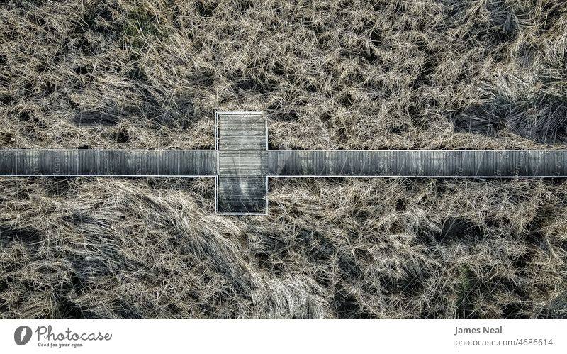 A wooden path cuts through the high grass. autumn sunny color nature day meadow background drone outside scenic trail outdoors footpath tall view landscape