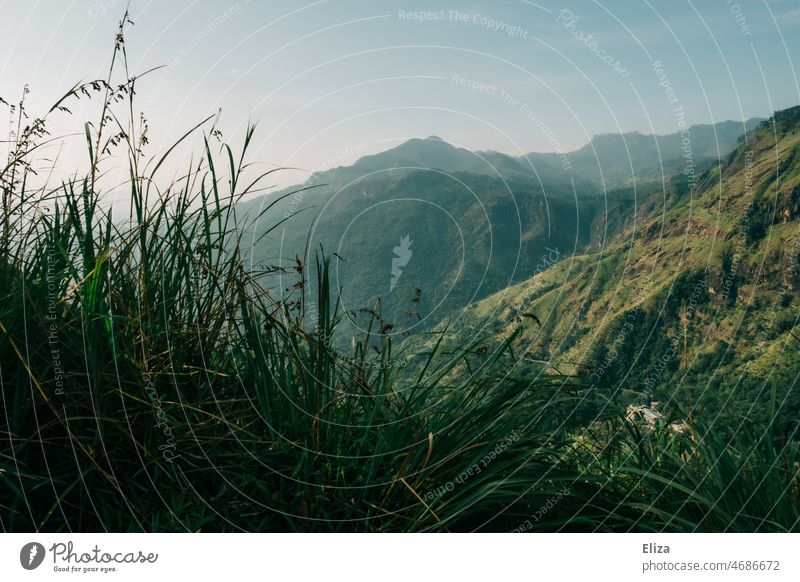 View of green mountain landscape mountains Green outlook Nature Mountain Deserted Vantage point Landscape grasses Blue sky