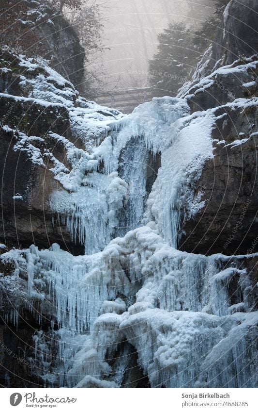 Iced waterfall near Hallstatt in Austria Waterfall verwist hallstatt Winter chill Frost Landscape Cold Nature Freeze Frozen White Exterior shot Winter mood