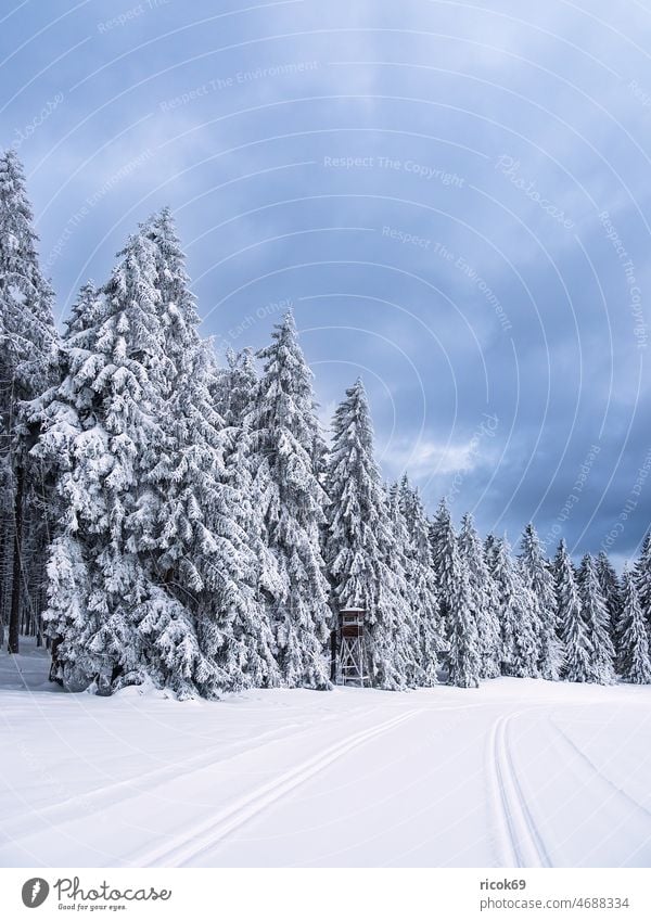 Landscape in winter in Thuringian forest near Schmiedefeld am Rennsteig Winter Snow Thueringer Wald Tree Forest Nature Sky Clouds Blue White Frost Cold vacation