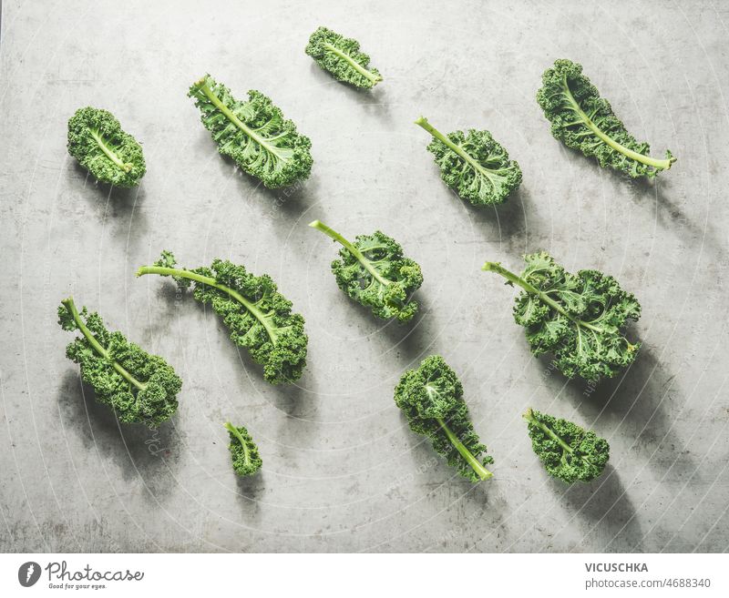 Kale pattern with raw green leaves at grey concrete kitchen table with sunlight kale kale leaves healthy seasonal winter cabbage top view background cooking