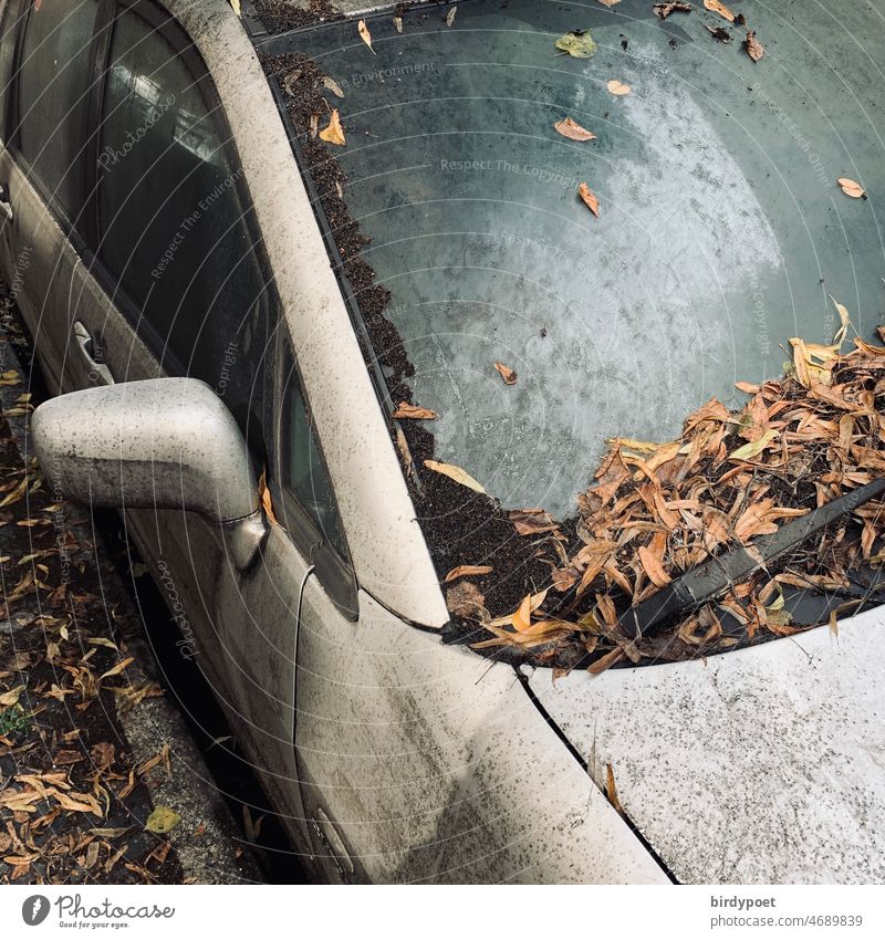 Vehicle broken down during the day after the storm Storm damage left Forget Doomed forsake sb./sth. Autumn Transience Day silver grey autumn leaves