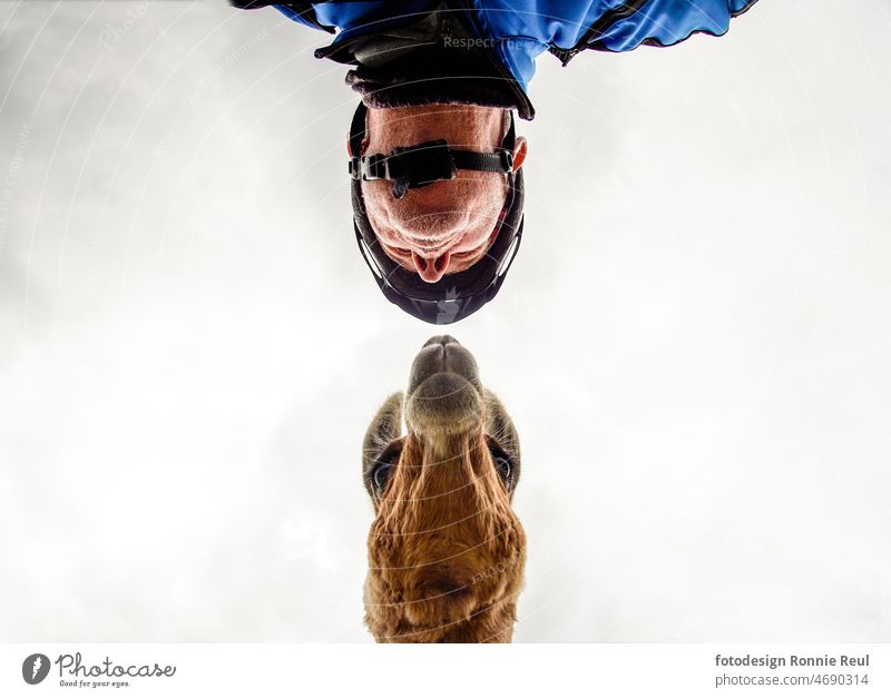 Encounter of a mountain biker with a llama at eye level in low view. Llama ungulate Human being Moutainbiker cyclists Face Head Pelt Brown nose Sky Clouds sniff