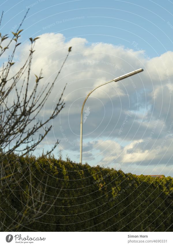 Street light behind bushes daylight Lantern Street lighting Suburb Clouds Lighting Civilization Reconnaissance Exterior shot Sky Lamp post Technology