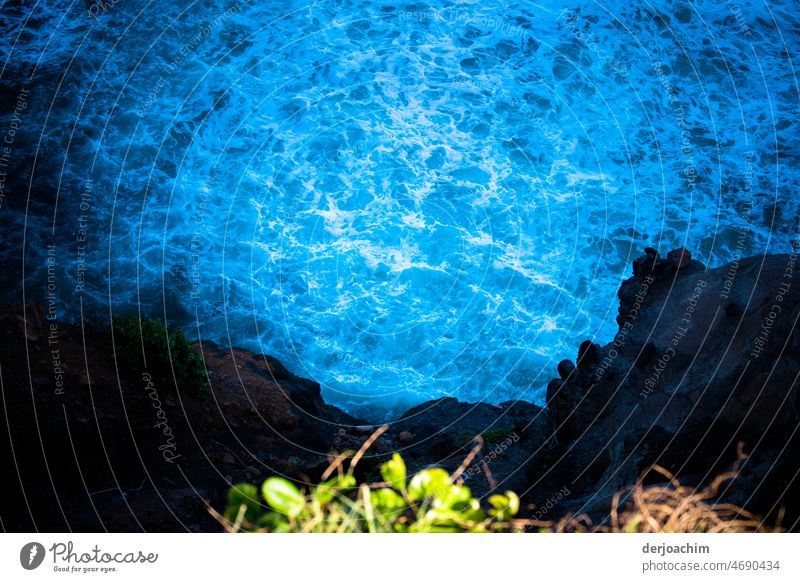 View into the water hell. Bushes, rocks and strongly bubbling sea water. Sea water Close-up Ocean Blue Water Waves Colour photo Deserted Nature Day Summer Light