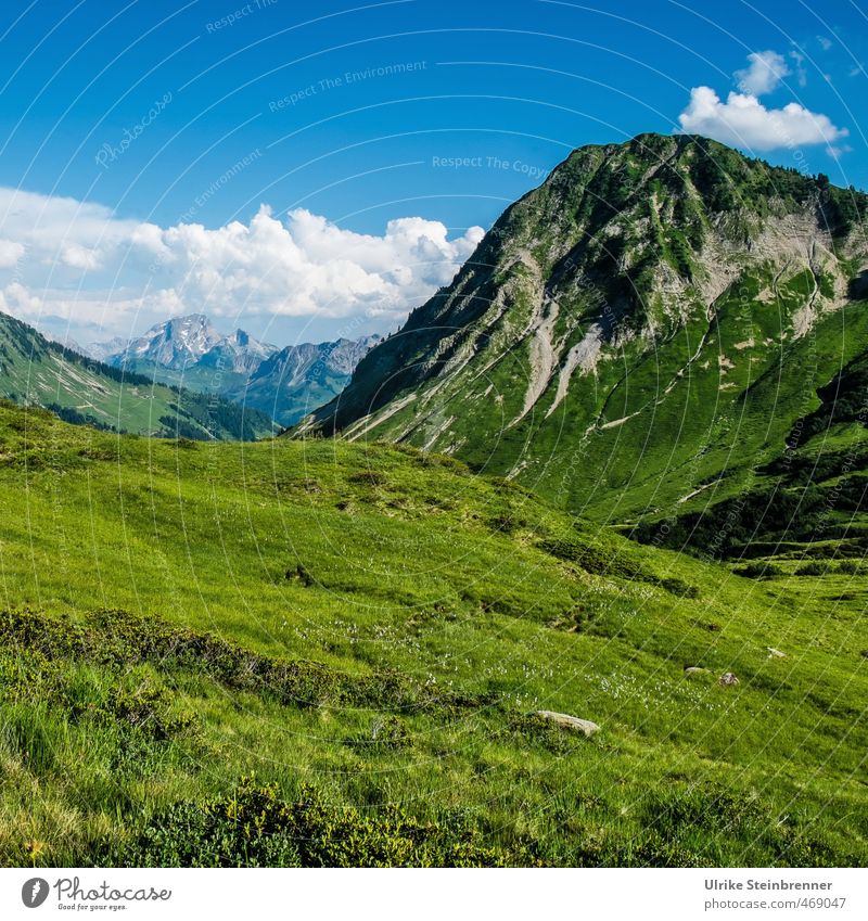 forage Vacation & Travel Tourism Summer Mountain Hiking Environment Nature Landscape Plant Sky Clouds Beautiful weather Grass Meadow Rock Alps