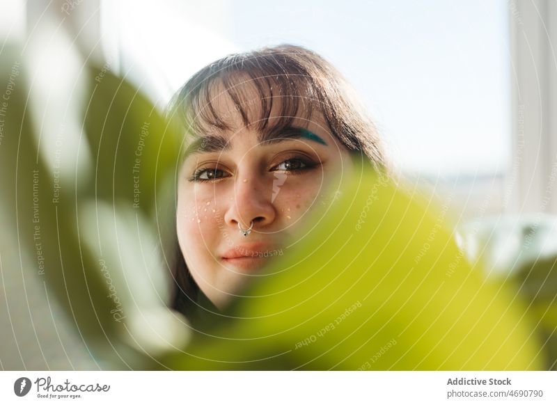 Woman covering face with green leaf woman plant hide cover face appearance sunlight floral room houseplant peek feminine positive home female foliage young glad