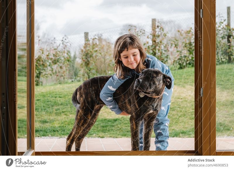 Smiling girl hugging American Pit Bull Terrier american pit bull terrier cuddle dog animal pet countryside doorway terrace mammal pedigree entrance breed cute