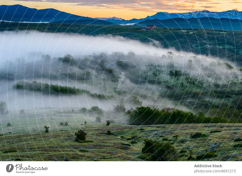 Mountain valley covered under fog at sundown mountain landscape Spain nature sunset cloud tree Palentian Mountains range slope highland sky Montana Palentina