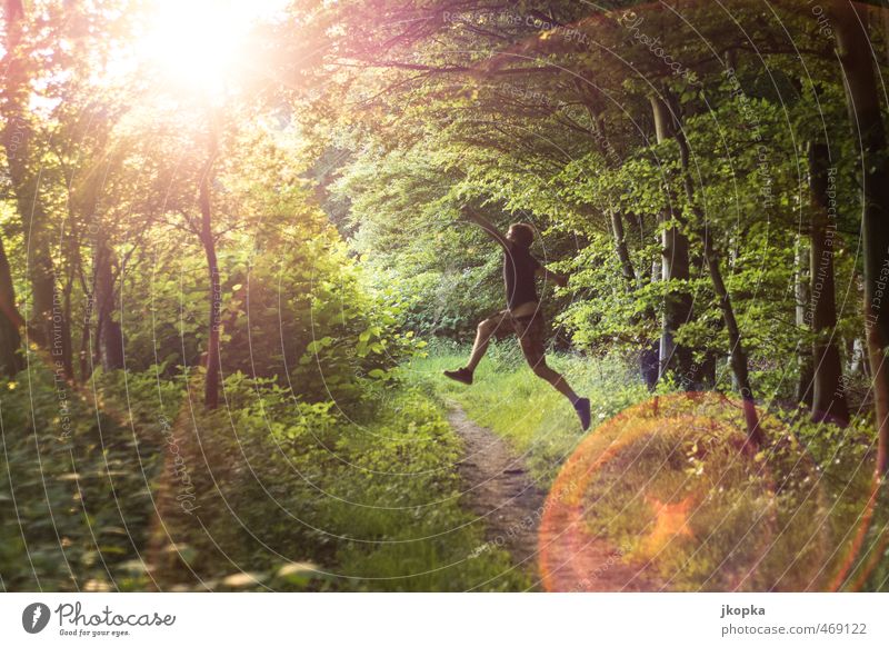 Forrest Jump Life Jogging Hiking Human being Masculine Young man Youth (Young adults) 1 18 - 30 years Adults Nature Spring Summer Forest T-shirt Happiness