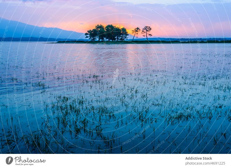 Trees growing at lakeside under sunset sky in countryside Paisajes tree nature landscape highland peaceful meadow valley scenic sundown mountain Extremadura