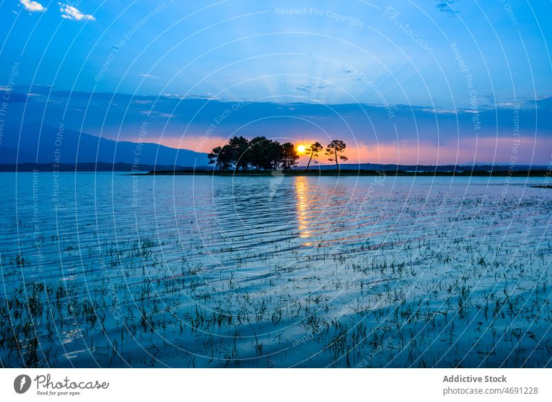 Trees growing at lakeside under sunset sky in countryside Paisajes tree nature landscape highland peaceful meadow valley scenic sundown mountain Extremadura