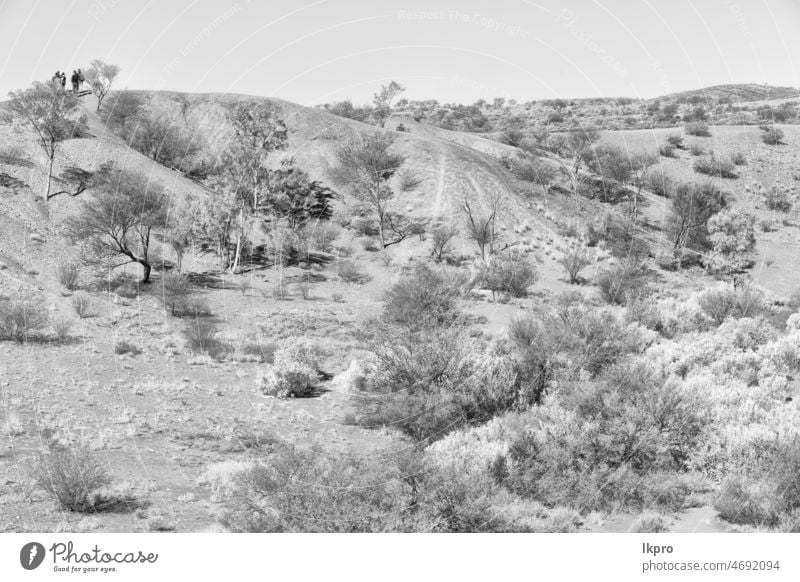 nature wild   and outback in   the  meteorite fall australia henbury impact crater sky landscape northern remote geology natural bright day ancient one trees