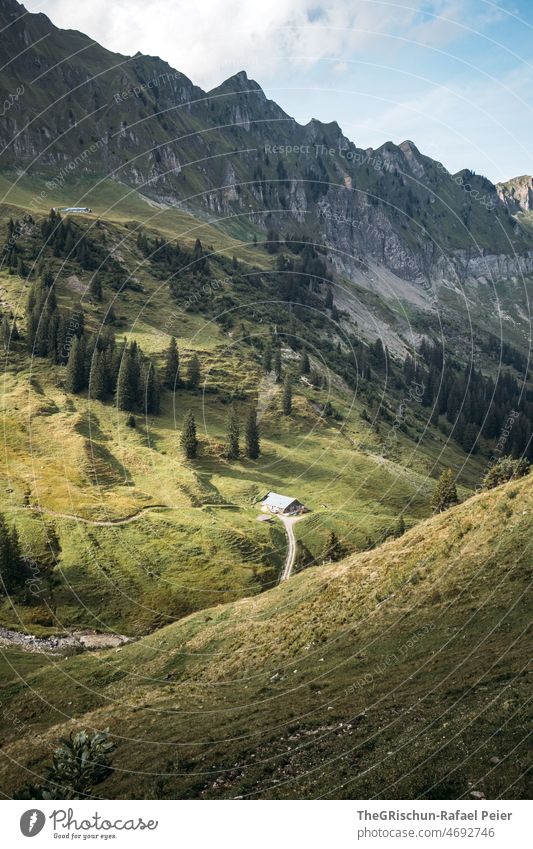 Alpine pasture in front of mountain range House (Residential Structure) Alps Meadow Willow tree Forest trees Mountain Landscape Nature Grass Green Exterior shot