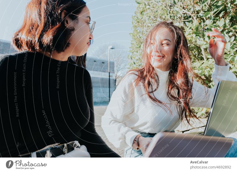 Two woman students talking and discussing a project while working on laptops at the university college. Last time rush hour concept.Learning with friends new at the campus.Fraternity sorority concept