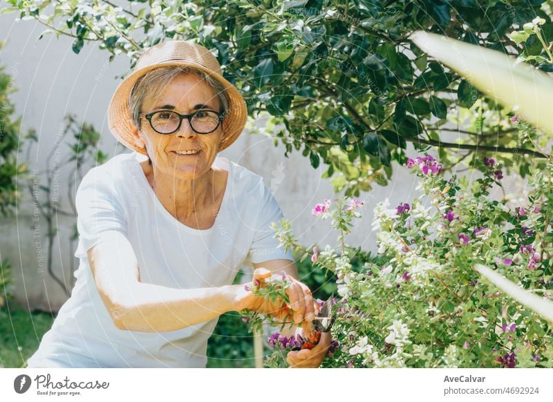 Portrait of an old woman doing some gardening while smiling to camera during free time. Leisure time activities at home. Saving the planet plating plants. Planet concerns. Mature people works at home