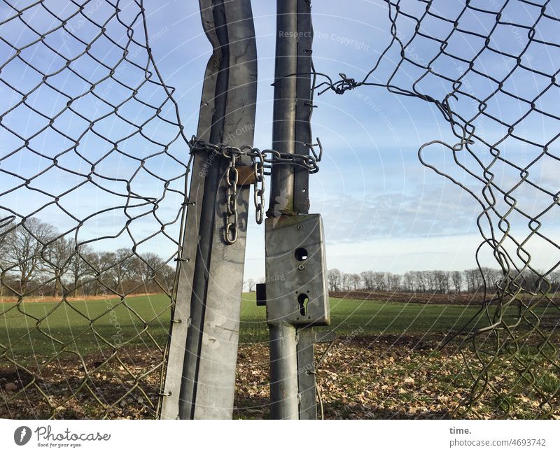 Feathered cattle | still gone in time (Stories from the fence, 116) Fence Willow tree Lock Chain Hollow Horizon trees dent Broken makeshift warped Freedom