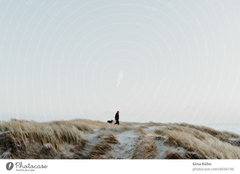 Man with dog in the dunes Dog Winter To go for a walk Evening evening mood red cap Calm Lonely Vacation & Travel coast Sand Beach Ocean Nature Relaxation