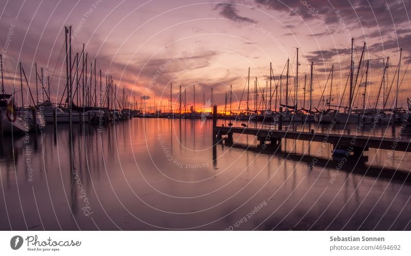 Silhouettes of sailboats and masts in Dutch harbor at dusk Harbour Sunset Sky Ocean Sunrise Water travel Sail Yacht harbour Landscape Sailboat Evening Dusk