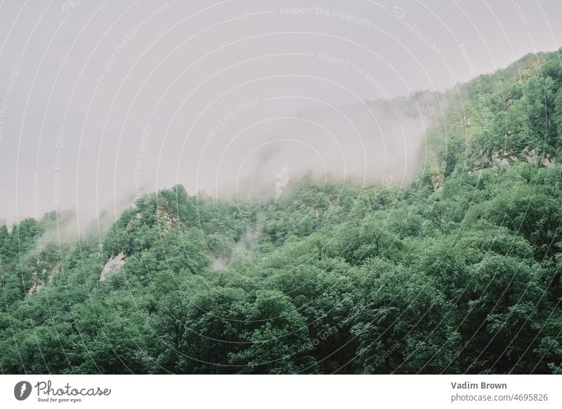 fog in the mountains landscape nature forest cloud clouds sky tree mist green hill travel summer rain view trees morning rainforest rock jungle grass tropical