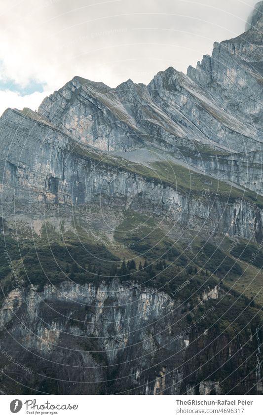 rock formation Rock Mountain Forest Nature Landscape Exterior shot mountains Green Deserted Hiking Alps Peak Environment