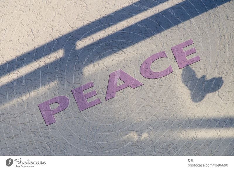 "Peace dove" as shadow play in the light with pink lettering Peace peace symbol Dove of peace Shadow play Gray plaster Shaft of light Pink peace pamphlet Relief