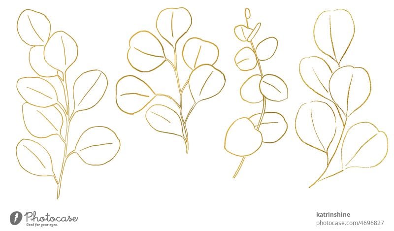 Golden watercolor eucalyptus botanical leaves illustration Botanical Decoration Element Exotic Foliage Hand drawn Isolated Ornament Set Summer boho bridal