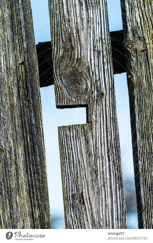 Conversations at the garden fence Garden fence Wooden fence Close-up detail Exterior shot Colour photo Fence Day Deserted Shallow depth of field Border