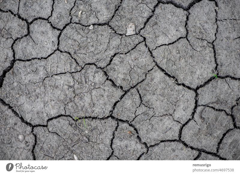 Abstract texture. Dry soil with cracks. 2019 Romania Timisoara abstract arid background barren broken clay climate closeup cracked detail dirt dirty drought dry