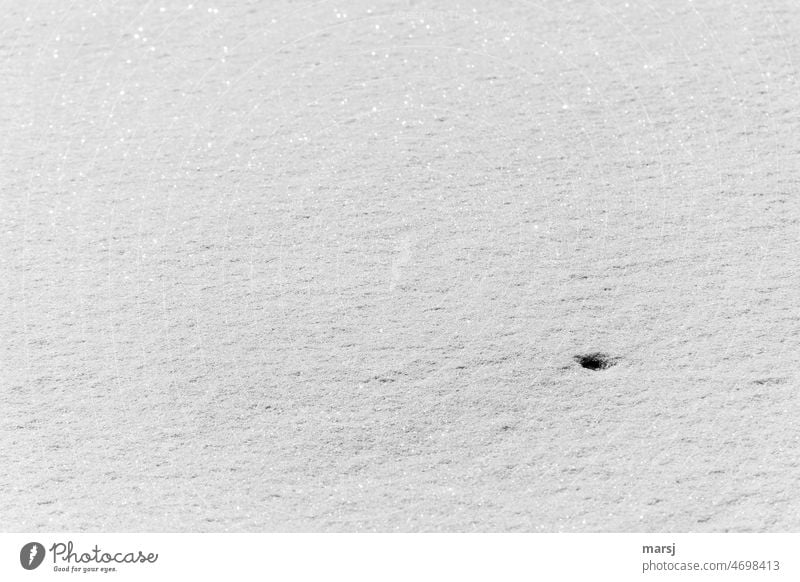 Minimalism in the untouched snow. Or the black hole in the universe after all? Cold Snow Winter Nature Snow layer freshly-snowed Snowscape naturally chill